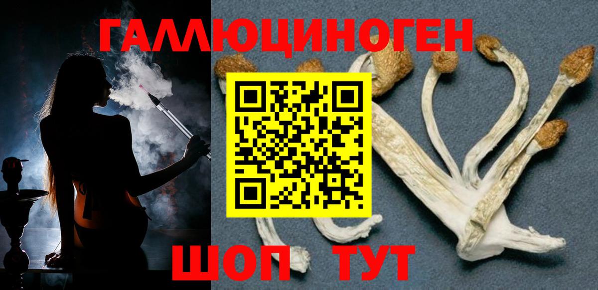 Краснодар  Галлюциногенные грибы Magic Shrooms  Псилоцибиновые грибы Magic Shrooms  наркотики  Вход с VPN 