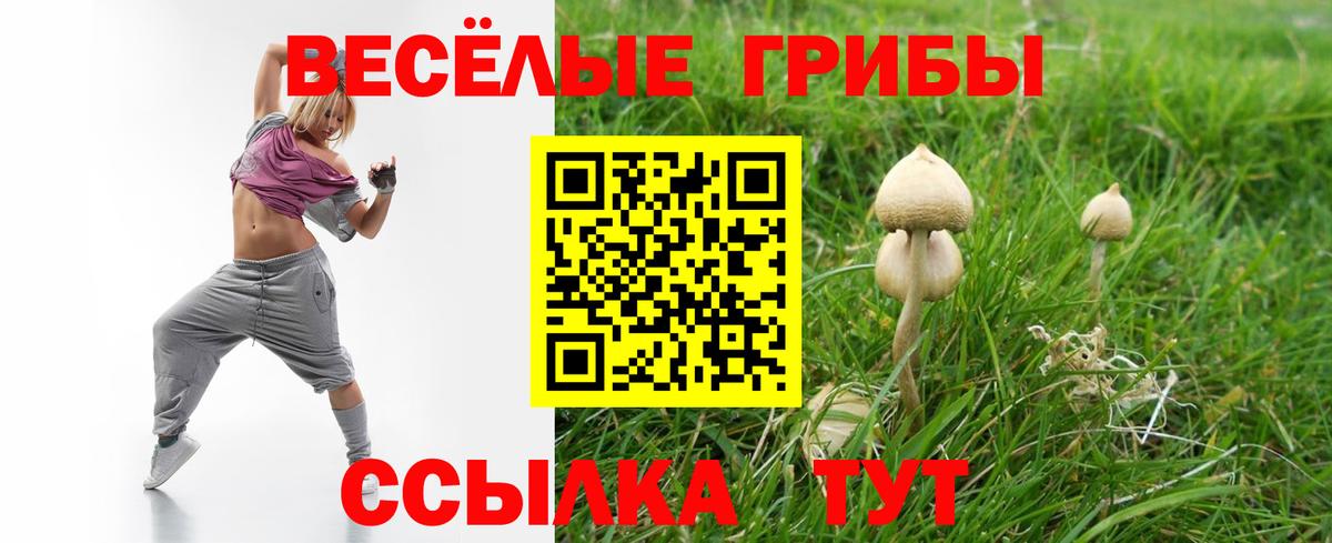 Псилоцибиновые грибы GOLDEN TEACHER Краснодар